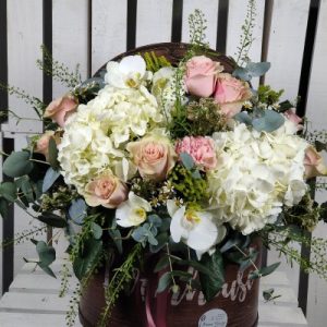 Sombrerera Salamanca.