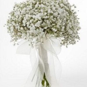 Ramo novia Paniculata.